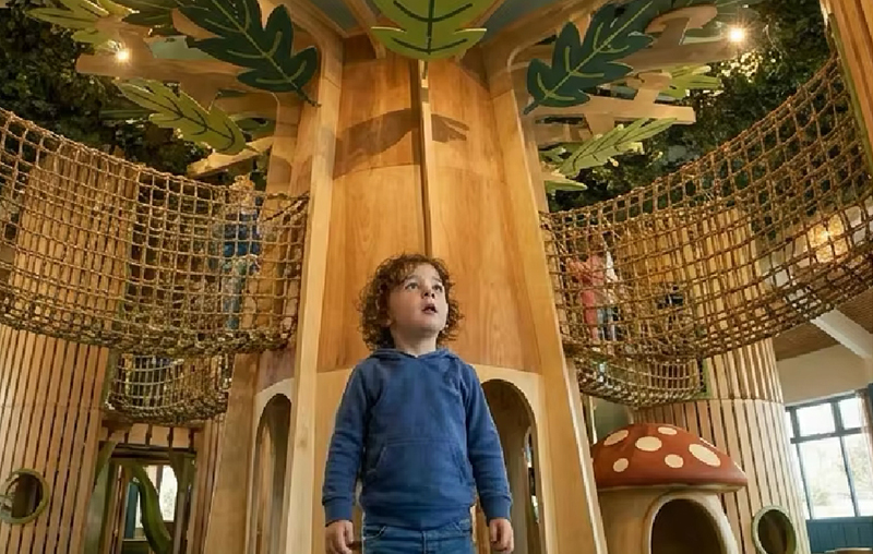 Custom Eco-Friendly Daycare Natural Wooden Indoor Playground Kids Magic Forest Theme Soft Play Enchanted Forest Adventure Zone
